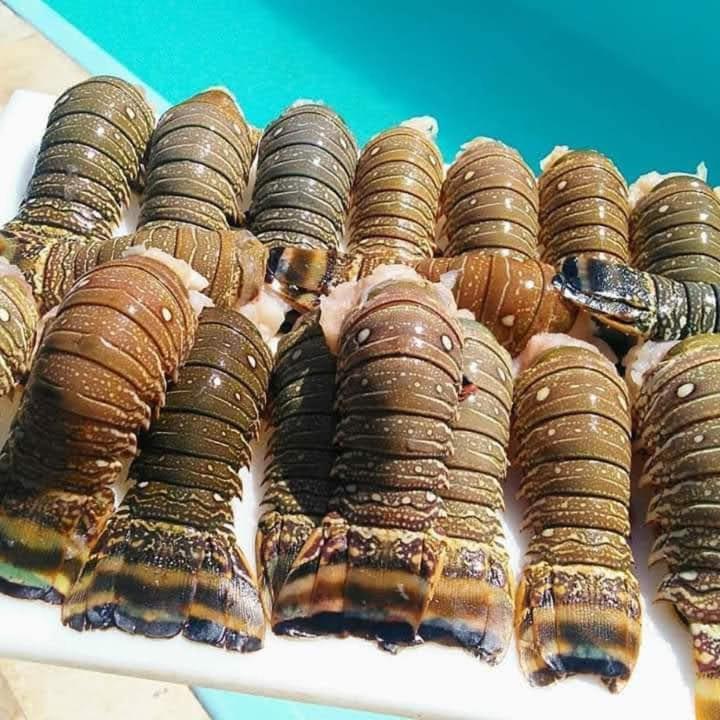 Pousada A Vida E Bela Águas Belas Kültér fotó